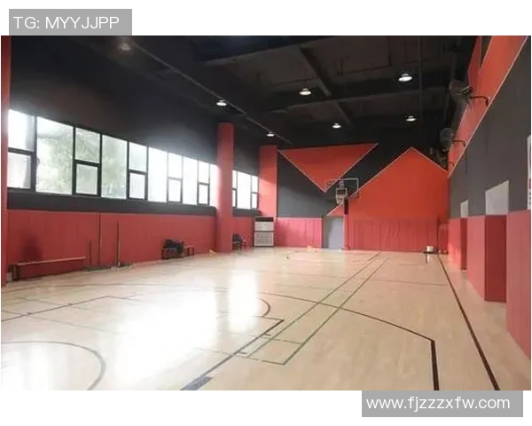 排球巨献：探秘上海排球队的力量