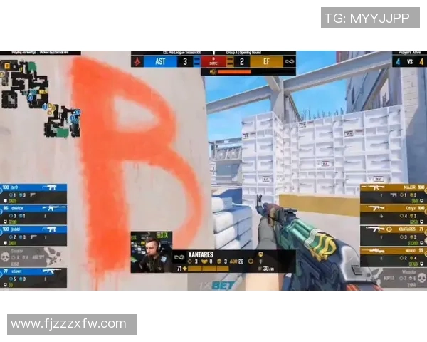 CS_GO专题：聚焦TES的意识